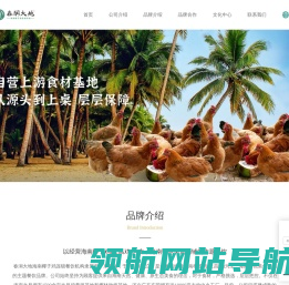春润大地·海南椰子鸡