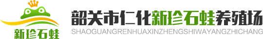 网站首页