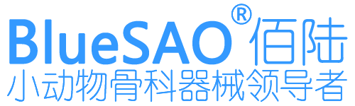 BlueSAO®佰陆
