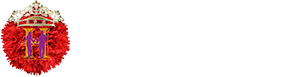 大健康
