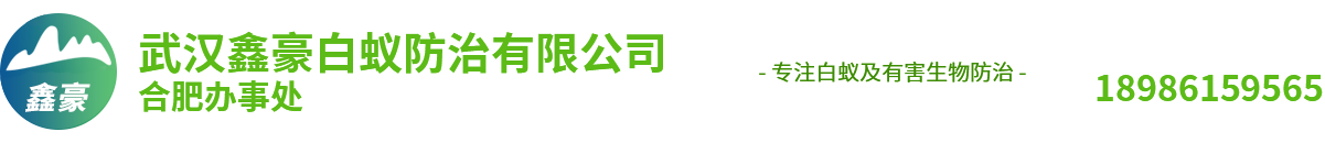 合肥白蚁防治