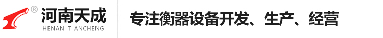 电子吊秤