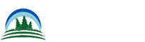 圣诞树