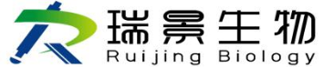 瑞景生物科技（南京）有限公司