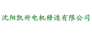 进口电机维修