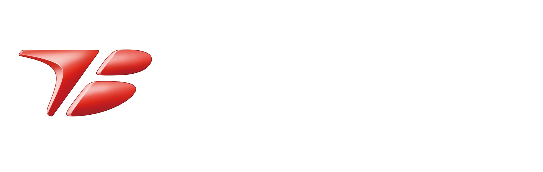 丰田纺织（中国）