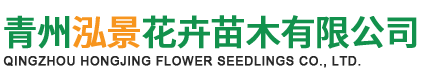 宿根花卉