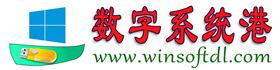 数字系统港