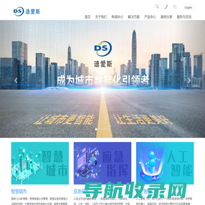 上海迪爱斯信息技术有限公司