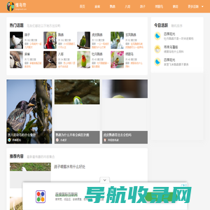 懂鸟帝