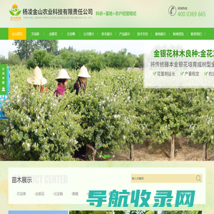 聚氯化铝