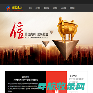 湖北正大会计师事务有限责任公司
