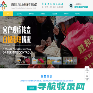 杀虫灭鼠白蚁防治