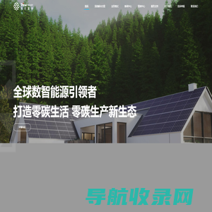 全球数智能源引领者