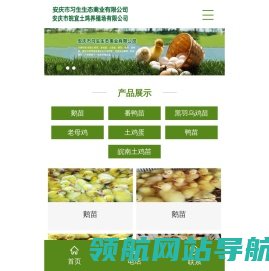 安庆市习生禽业有限公司
