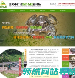 网站首页