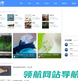 鱼百科