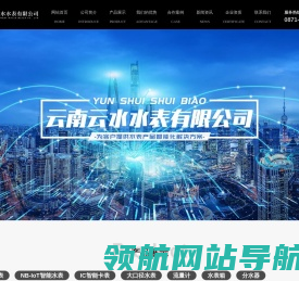 云南云水水表有限公司