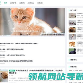 爱宠生活