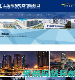 上海浦东电线电缆（集团）有限公司