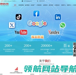 淄博网泰