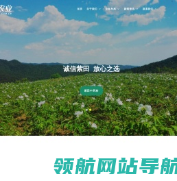 紫田农业