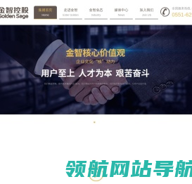 金智控股集团