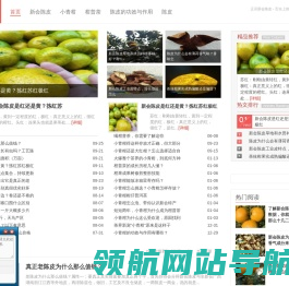 【陈皮】新会陈皮