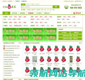 CN蔬菜网