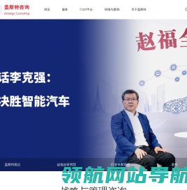 盖斯特战略咨询