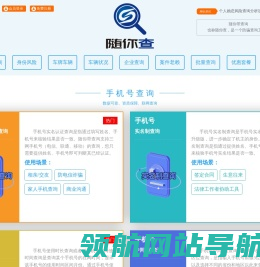 随你带查询（也称随你查）