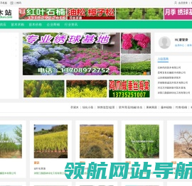 苗木站