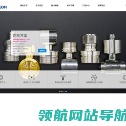 _江苏德尔森控股有限公司