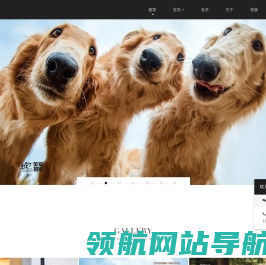 英宠摄影inpetphoto