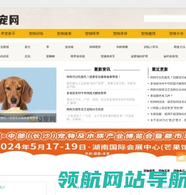 Q宠网